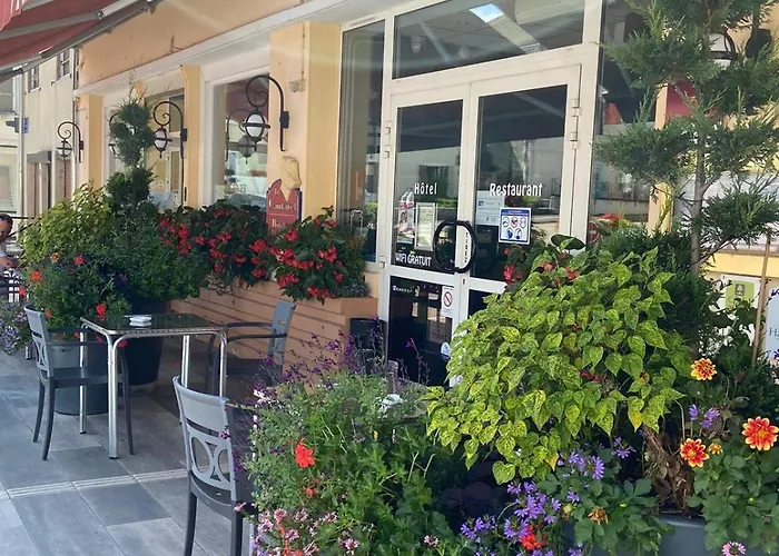 Logis Le Cantarel Hotel